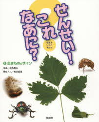 本 ISBN:9784034142608 出版社:偕成社 出版年月:2015年12月 サイズ:39P 28cm 児童 ≫ 学習 [ 動物・植物・魚・虫 ] センセイ コレ ナアニ 6 6 ナマエ シラ
