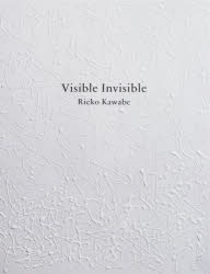 Visible Invisible [本]