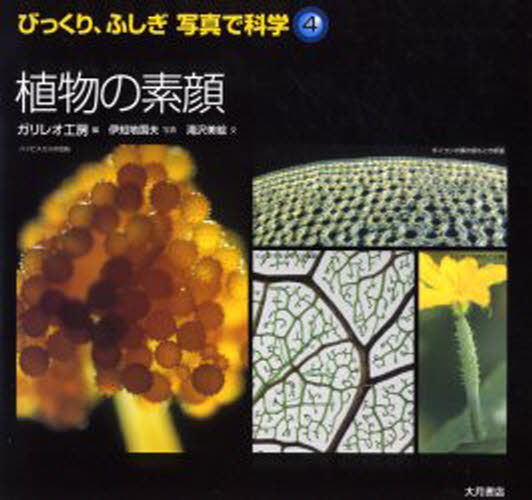 本 ISBN:9784272404346 滝沢美絵／文 ガリレオ工房／編 伊知地国夫／写真 出版社:大月書店 出版年月:2003年11月 サイズ:35P 21×22cm 教育 ≫ 教育一般 [ 家庭教