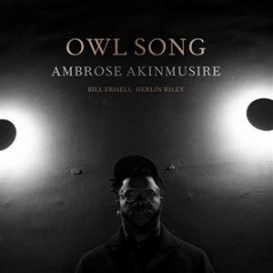 輸入盤 AMBROSE AKINMUSIRE / OWL SONG [LP]