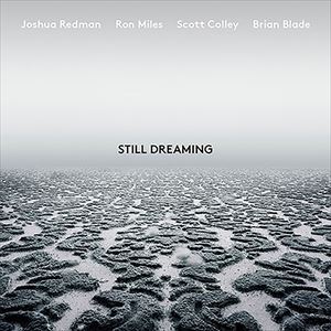 輸入盤 JOSHUA REDMAN / STILL DREAMING （FEAT. RON MILES. SCOTT COLLEY ＆ BRIAN BLADE） [CD]