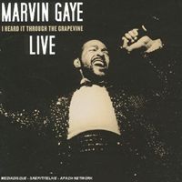 輸入盤 MARVIN GAYE / I HEARD IT THROUGH THE GRAPEVINE [CD]