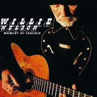 輸入盤 WILLIE NELSON / MOMENT OF FOREVER [CD]