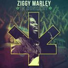 輸入盤 ZIGGY MARLEY / ZIGGY MARLEY IN CONCERT [CD]