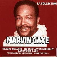輸入盤 MARVIN GAYE / LA COLLECTION [CD]