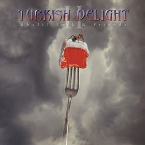 輸入盤 VARIOUS / TURKISH DELIGHT VOL.2 [CD]
