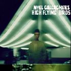 輸入盤 NOEL GALLAGHER'S HIGH FLYING BIRDS / NOEL GALLAGHER'S HIGH FLYING BIRDS [CD＋DVD]