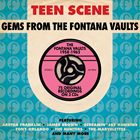 輸入盤 VARIOUS / TEEN SCENE ： GEMS FROM THE FONTANA VAULTS [3CD]