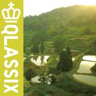 FPM / QLASSIX [CD]