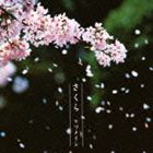 ケツメイシ / さくら [CD]
