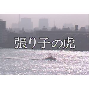 張り子の虎 DVD【昭和の名作ライブラリー 第69集】 [DVD]