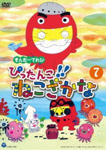 きんだーてれび