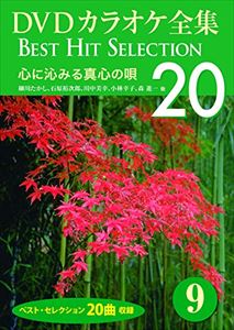DVDカラオケ全集 「Best Hit Selection 20」 9 心に沁みる真心の唄 [DVD]