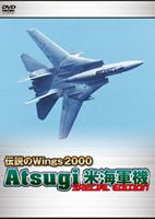 伝説のWings2000 Atsugi 米海軍機 Special Edition [DVD]
