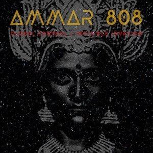 アマール808 / グローバル・コントロール／インヴィジブル・インヴェイジョン [CD]
