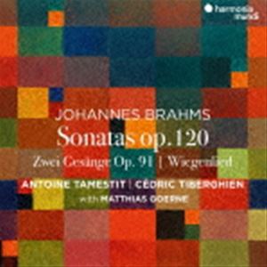 アントワーヌ・タメスティット（va） / ブラームス：ヴィオラ・ソナタ第1，2番，2つの歌Op.91（輸入盤） [CD]