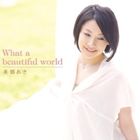 美郷あき / オンラインゲーム ラグナロクオンライン RJC2010イメージソング： What a beautiful world [CD]