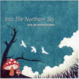 trio de monochrome / Into The Northern Sky [CD]