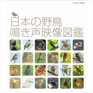 日本の野鳥 鳴き声映像図鑑 [Blu-ray]