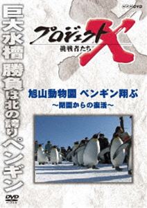 プロジェクトX 挑戦者たち旭山動物園 ペンギン翔ぶ〜閉園からの復活〜 [DVD]