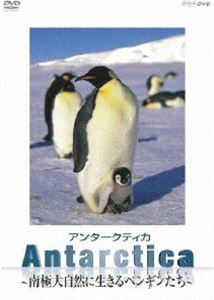 Antarctica〜南極・大自然に生きるペンギンたち〜 [DVD]