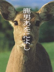 鹿男あをによし DVD-BOX