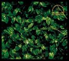 種別:CD 邦楽ロック/ソウル 発売日:2013/06/26 販売元:ポニーキャニオン 登録日:2013/05/10 エレファントカシマシ エレファントカシマシ ザ エレファント カシマシ トゥエンテ