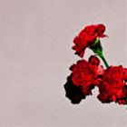 種別:CD 洋楽ソウル/R & B 発売日:2013/09/04 販売元:ソニー・ミュージックソリューションズ 登録日:2013/06/27 ジョン・レジェンド レジェンド ジョン ラブ イン