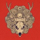 【CD】 YANKEE