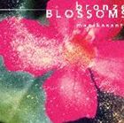 マニカサンティ / Bronze Blossoms〜ブロンズの開花 [CD]