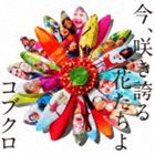 コブクロ / 今、咲き誇る花たちよ [CD]